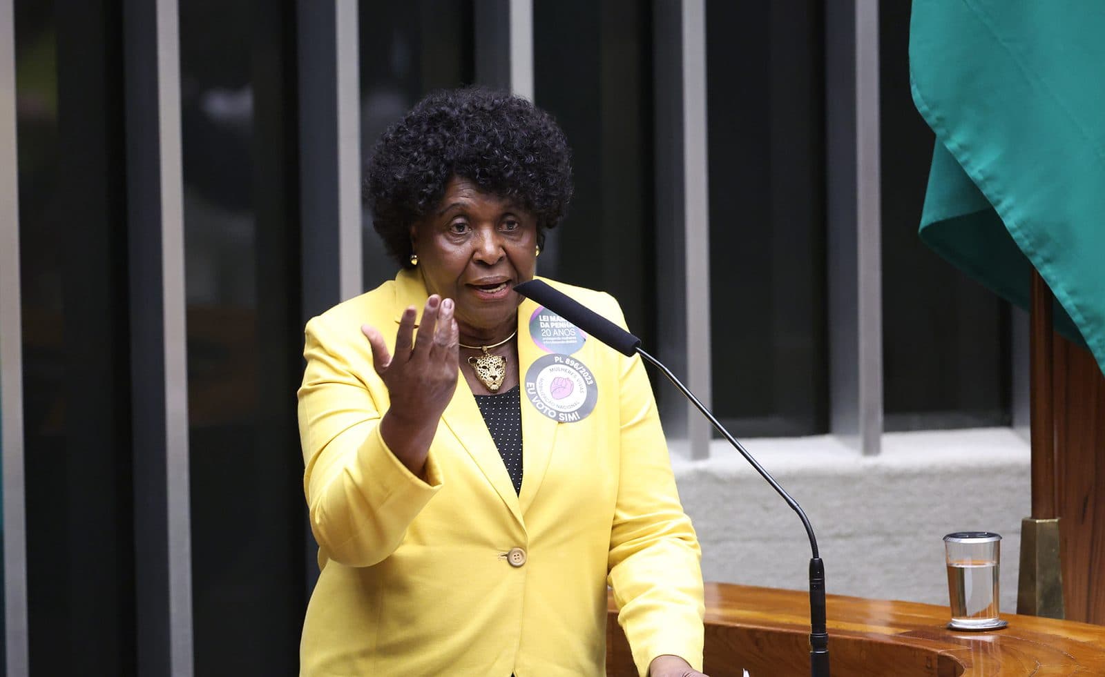 Benedita na tribuna da Câmara, blazer amarelo, mão erguida no meio da fala. Adesivo “LEI MARIA DA PENHA 20 ANOS” e botton “PL 895/2023 MULHERES VIVAS — EU VOTO SIM!”. Rosto grande e nítido.
